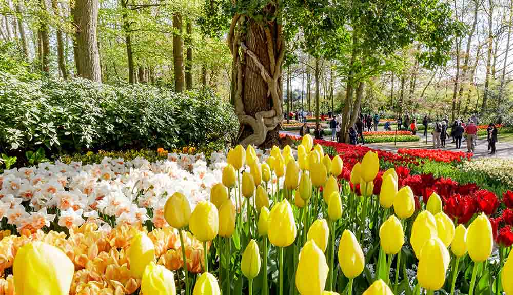 Keukenhof Gardens, The Netherlands