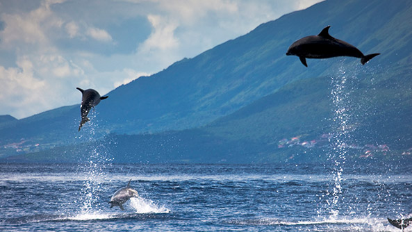 Azores, Portugal