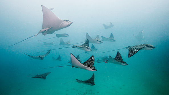 Little Corn Island, Nicaragua