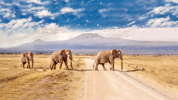 Amboseli, Kenya