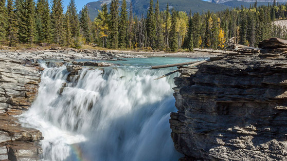 Athabasca Falls