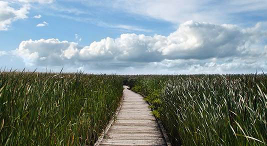 Boardwalk