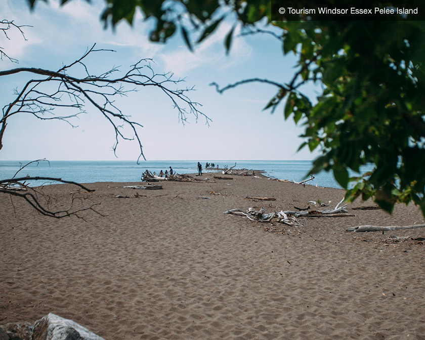 Point Pelee