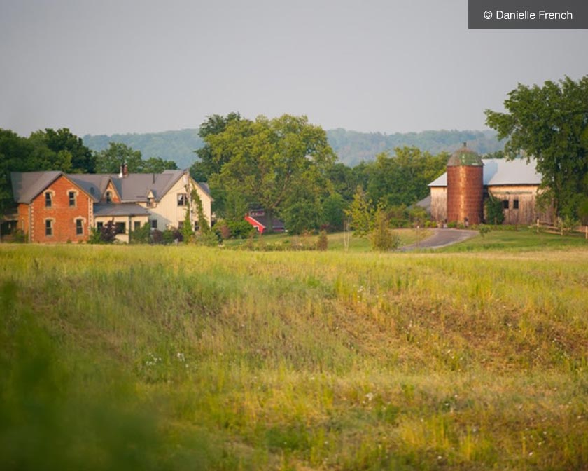 South Pond Farms