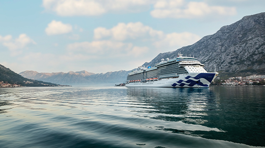 Princess Cruise ship cruising on water with mountains in the background